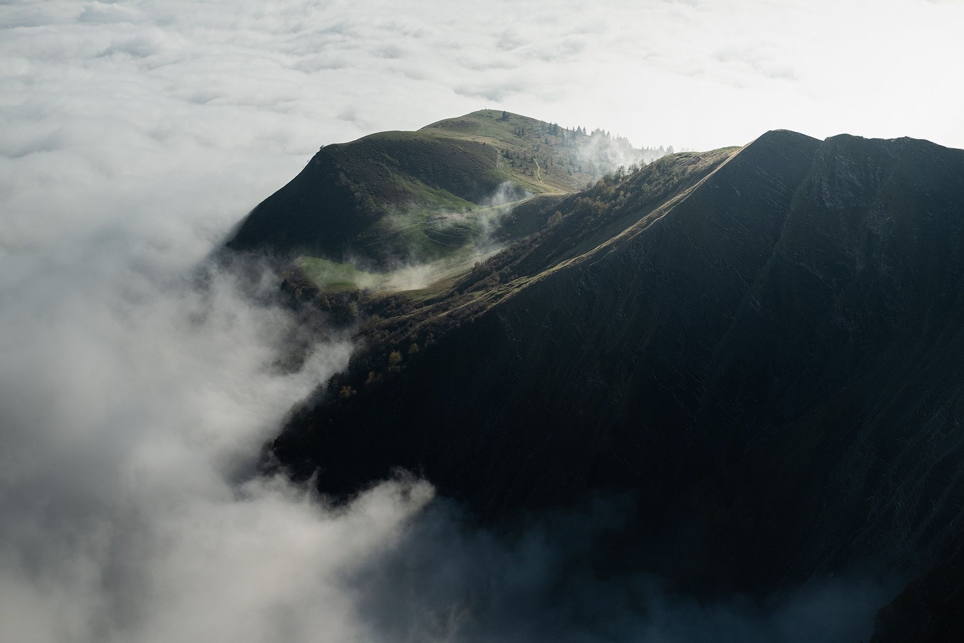 Set-up a Crontab to automatically archive Matomo reports