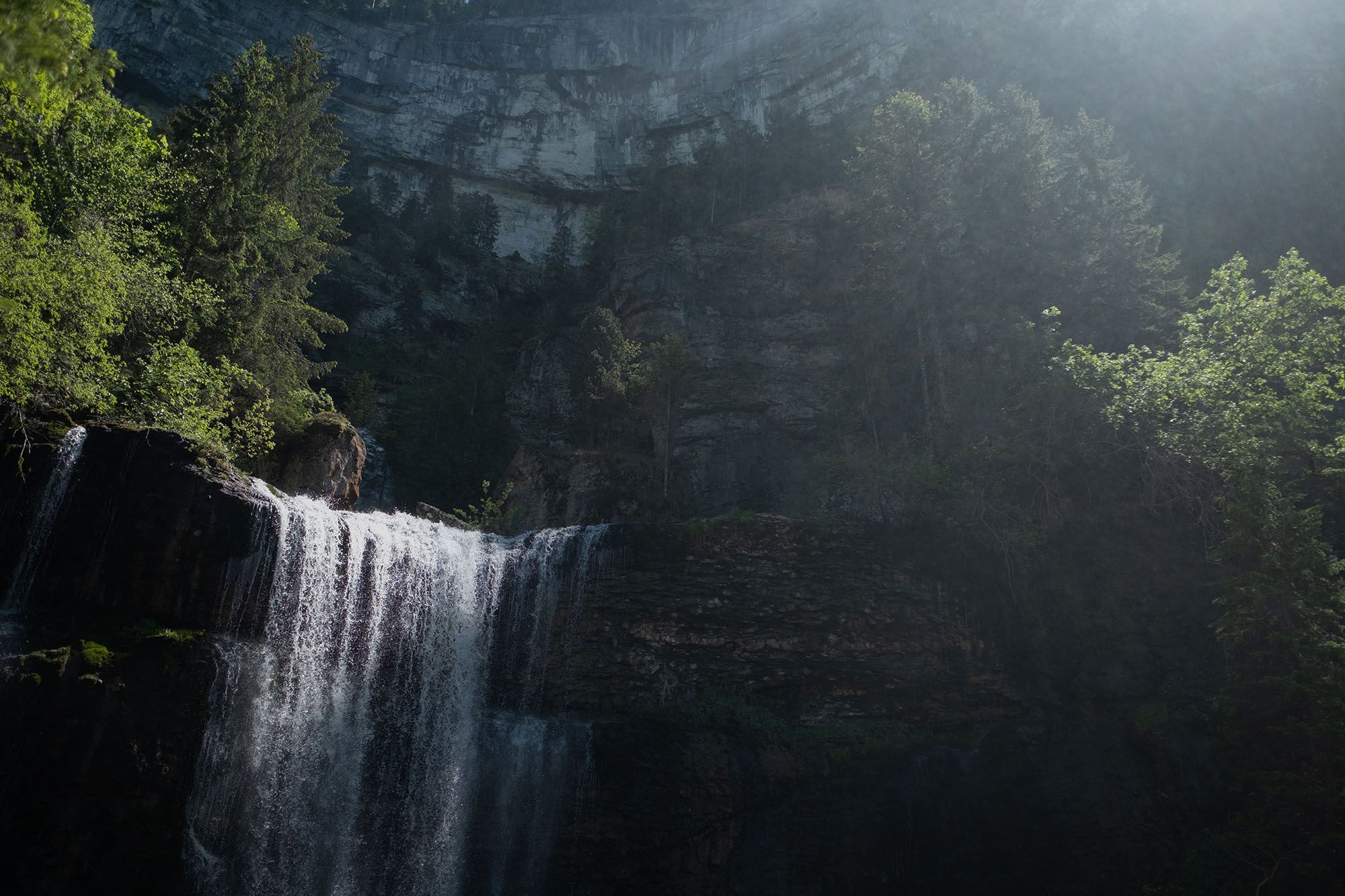 Forcing the use of https with Matomo