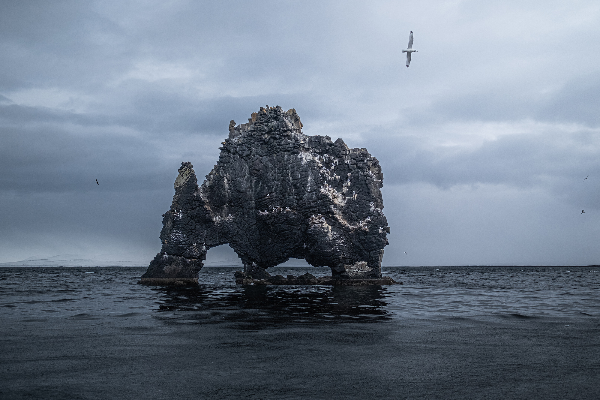 Matomo: Custom dimensions