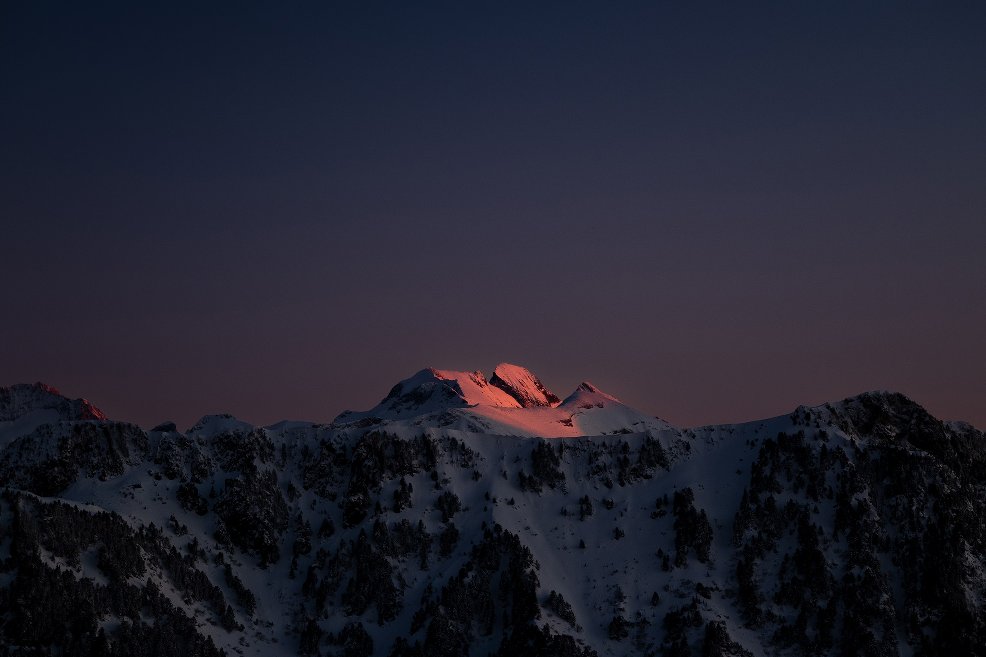 Matomo : Introduction au Content Tracking